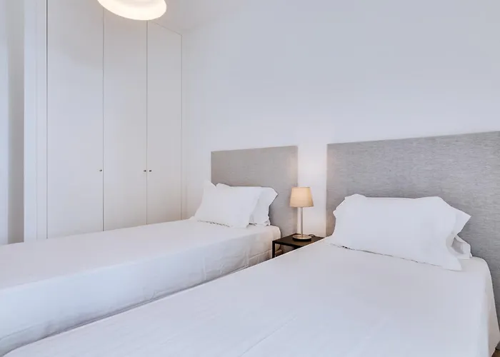 Al - Egas Moniz 쿼테이라